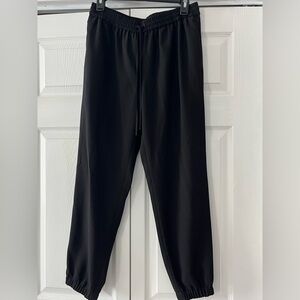 Express Dress Pant joggers